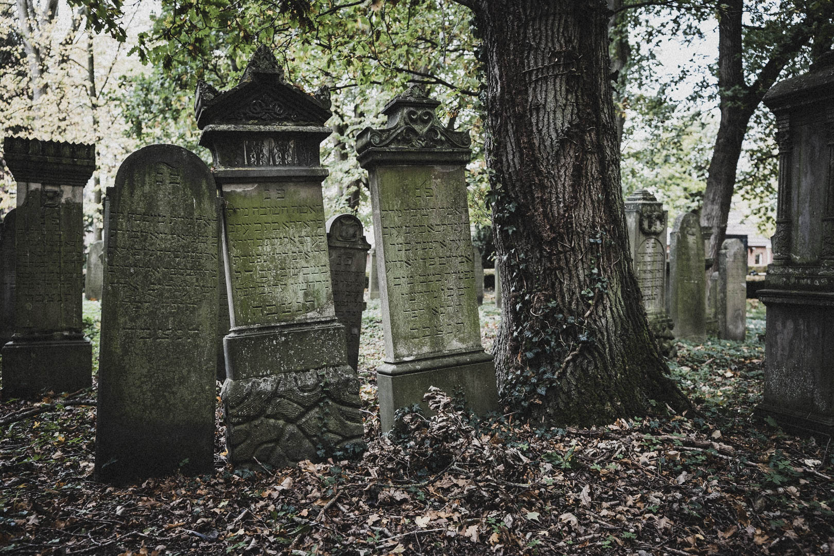 Emden, Jüdischer Friedhof
